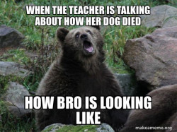Sarcastic Bear
