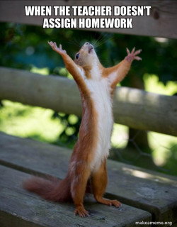 Happy Squirrel