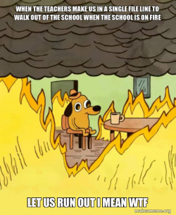 This Is Fine