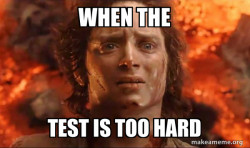 Frodo it's over it's done