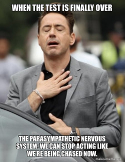 Tony Stark Relief