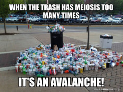 Canadian Football Fans meme
