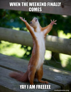 Happy Squirrel