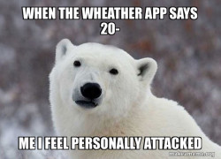 Popular Opinion Polar Bear