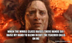 Frodo it's over it's done