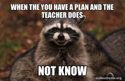 Evil Plotting Raccoon