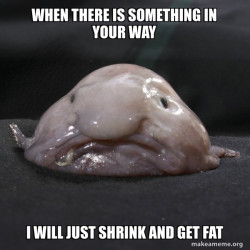 Blobfish
