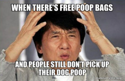 Jackie Chan Why?