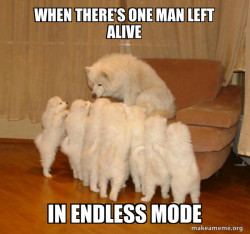 Storytelling Dog