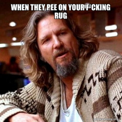 Big Lebowski