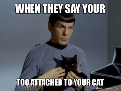 Spock and Cat Meme