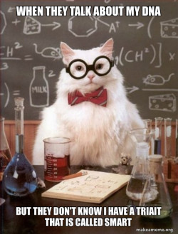 Chemistry Cat