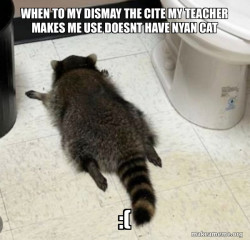 Drunk Raccoon