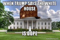 Scumbag Whitehouse