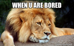 Confession Lion