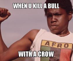 Crows be like