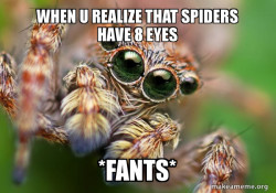 Hipster Spider