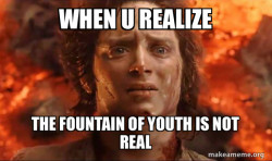 Frodo it's over it's done