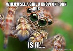 Hipster Spider