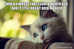 First World Cat Problems