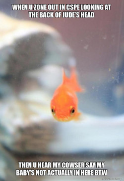 Grumpy Fish