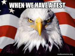 American Pride Eagle