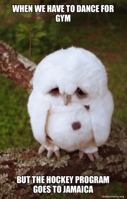 Sad Owl