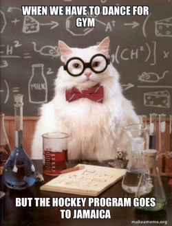 Chemistry Cat