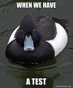 Revenge Duck ( Angry Advice Duck )