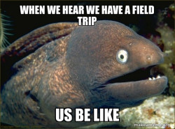 Bad Joke Eel