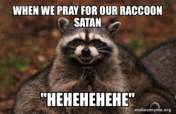 Evil Plotting Raccoon