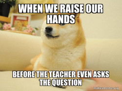 Doge