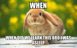 Regretful Rabbit
