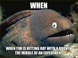 Bad Joke Eel