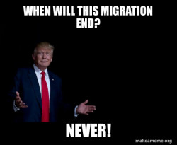 Trump Everything is FIne