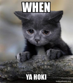 Confession Cat