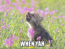 Baby Insanity Wolf