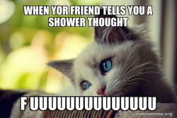First World Cat Problems