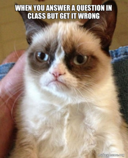 Grumpy Cat