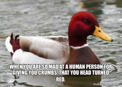 Malicious Advice Mallard