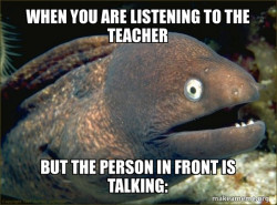 Bad Joke Eel