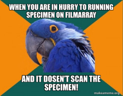Paranoid Parrot