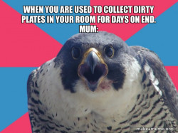 Millennial Falcon