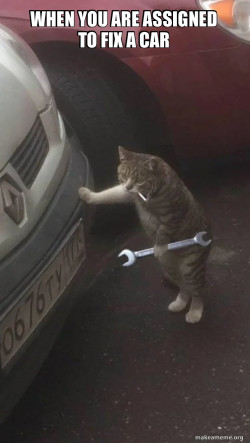 Mechanic Cat