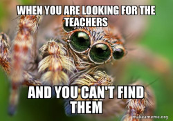 Hipster Spider