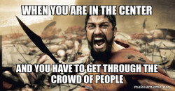 The 300