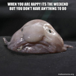 Blobfish