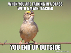 Common Opinion Sparrow