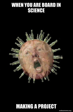 Trumpvirus TrumpPandemic