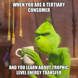 Grinch